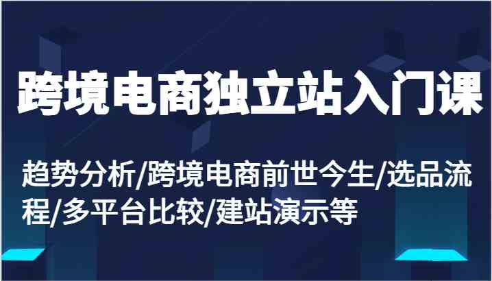 跨境电商独立站入门课：趋势分析/跨境电商前世今生/选品流程/多平台比较/建站演示等-3YVIP资源库