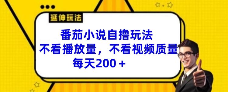 番茄小说自撸玩法，不看播放量，不看视频质量，每天200+【揭秘】-3YVIP资源库