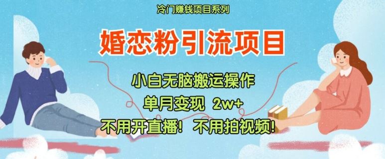 小红书婚恋粉引流，不用开直播，不用拍视频，不用做交付【揭秘】-3YVIP资源库