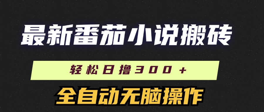 （11904期）最新番茄小说搬砖，日撸300＋！全自动操作，可矩阵放大-3YVIP资源库