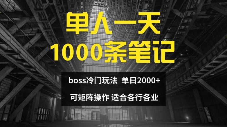 单人一天1000条笔记，日入2000+，BOSS直聘的正确玩法【揭秘】-3YVIP资源库