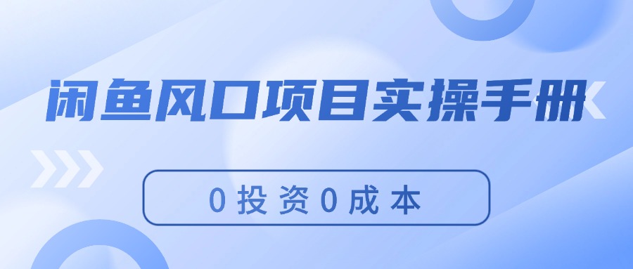 （11923期）闲鱼风口项目实操手册，0投资0成本，让你做到，月入过万，新手可做-3YVIP资源库