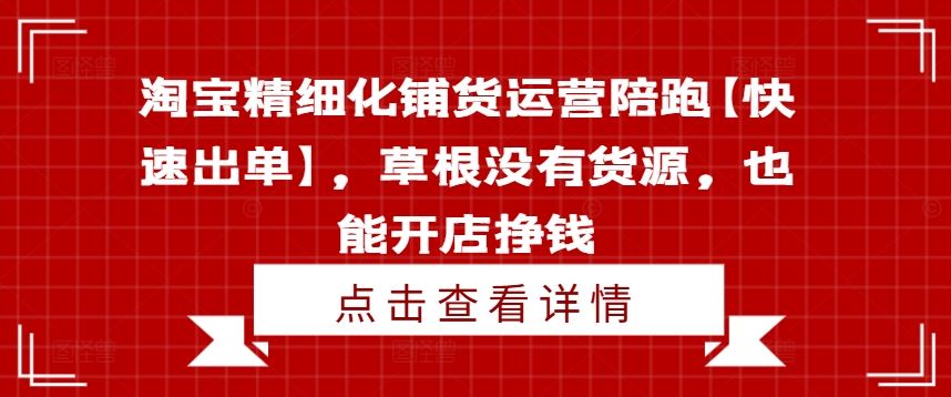 淘宝精细化铺货运营陪跑【快速出单】，草根没有货源，也能开店挣钱-3YVIP资源库