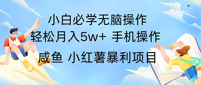 （11953期）2024热门暴利手机操作项目，简单无脑操作，每单利润最少500-3YVIP资源库