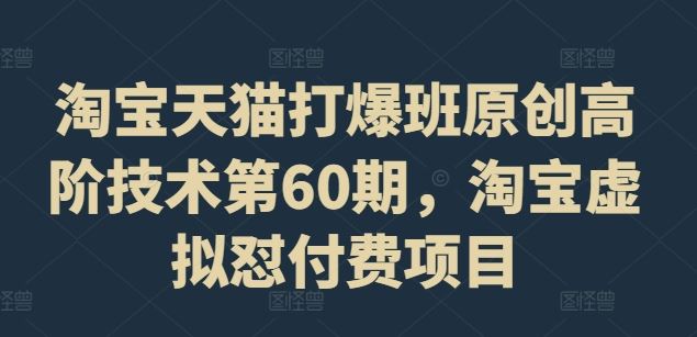淘宝天猫打爆班原创高阶技术第60期，淘宝虚拟怼付费项目-3YVIP资源库