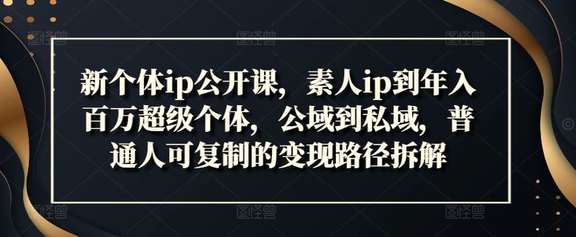 新个体ip公开课，素人ip到年入百万超级个体，公域到私域，普通人可复制的变现路径拆解-3YVIP资源库