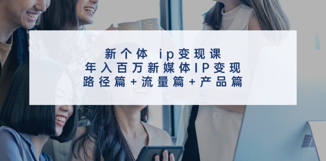 （11971期）新个体 ip变现课，年入百万新媒体IP变现，路径篇+流量篇+产品篇-3YVIP资源库
