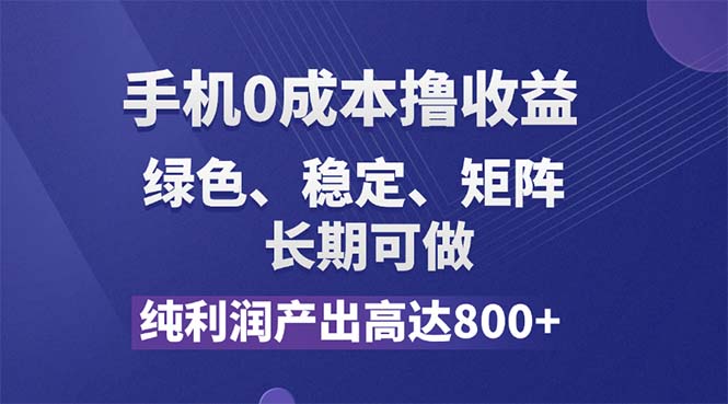 （11976期）纯利润高达800+，手机0成本撸羊毛，项目纯绿色，可稳定长期操作！-3YVIP资源库
