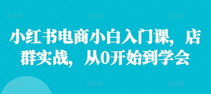 小红书电商小白入门课，店群实战，从0开始到学会-3YVIP资源库