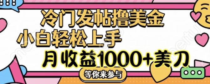 冷门发帖撸美金项目，月收益1000+美金，简单无脑，干就完了【揭秘】-3YVIP资源库