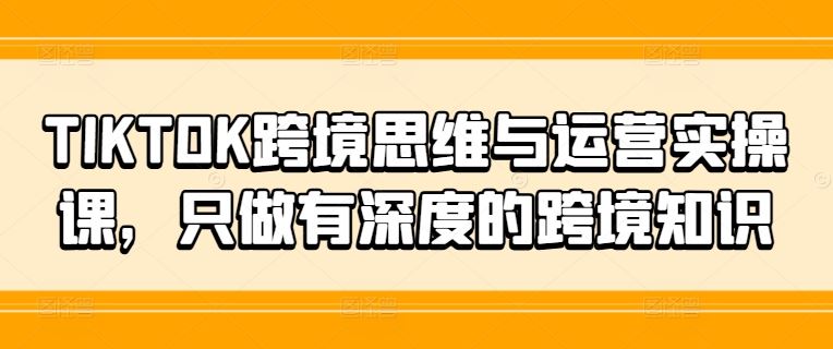 TIKTOK跨境思维与运营实操课，只做有深度的跨境知识-3YVIP资源库