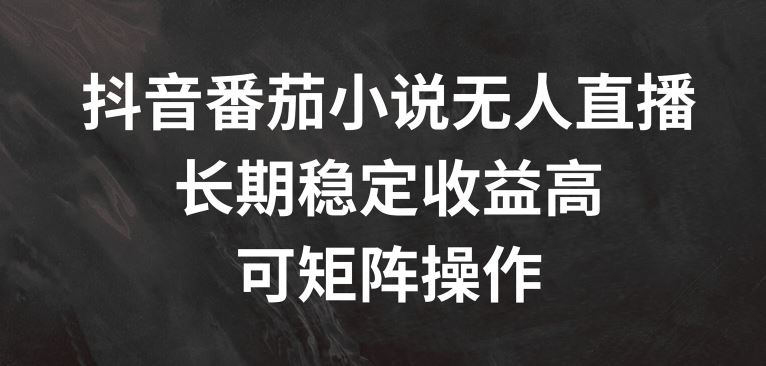 抖音番茄小说无人直播，长期稳定收益高，可矩阵操作【揭秘】-3YVIP资源库