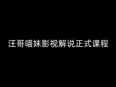 汪哥影视解说正式课程：剪映/PR教学/视解说剪辑5大黄金法则/全流程剪辑7把利器等等-3YVIP资源库