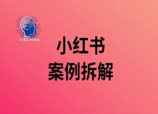 小红书案例拆解，深度解读小红书40万粉-3YVIP资源库