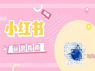 小红书运营指南，没有套路，全是经验-3YVIP资源库