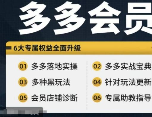 拼多多会员，拼多多实战宝典+实战落地实操，从新手到高阶内容全面覆盖-3YVIP资源库