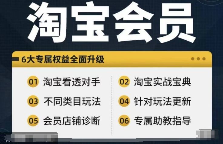 淘宝会员【淘宝所有课程，全面分析对手】，初级到高手全系实战宝典-3YVIP资源库