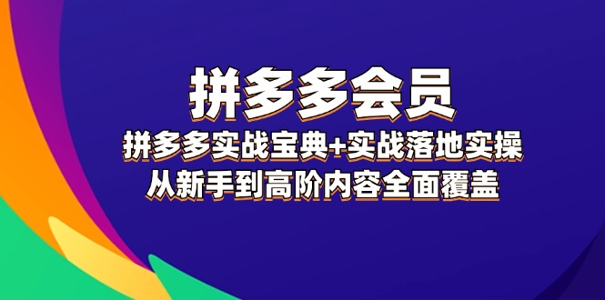（12056期）拼多多 会员，拼多多实战宝典+实战落地实操，从新手到高阶内容全面覆盖-3YVIP资源库