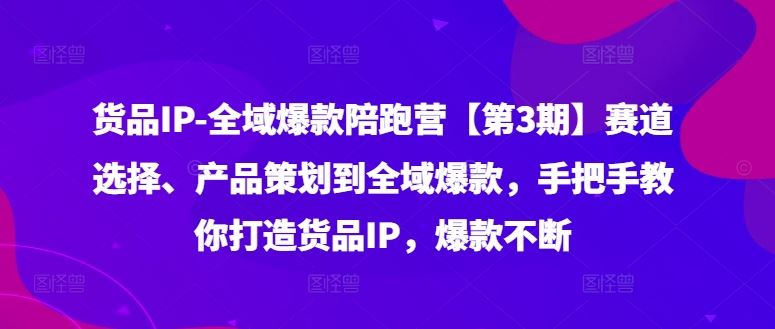 货品IP全域爆款陪跑营【第3期】赛道选择、产品策划到全域爆款，手把手教你打造货品IP，爆款不断-3YVIP资源库