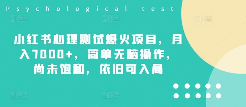 小红书心理测试爆火项目，月入7000+，简单无脑操作，尚未饱和，依旧可入局-3YVIP资源库