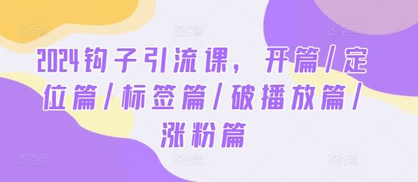 2024钩子引流课，开篇/定位篇/标签篇/破播放篇/涨粉篇-3YVIP资源库