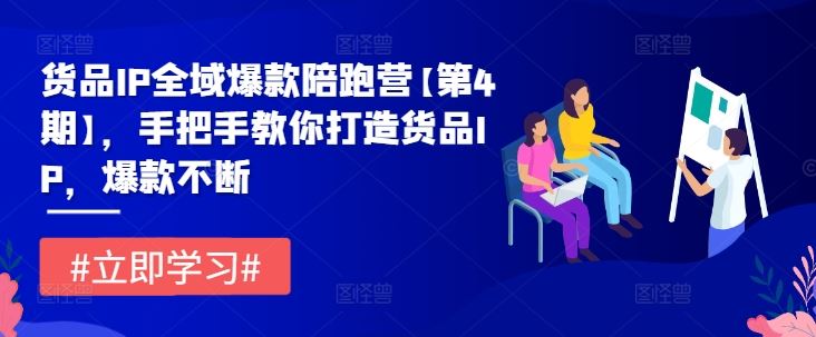 货品IP全域爆款陪跑营【第4期】，手把手教你打造货品IP，爆款不断-3YVIP资源库