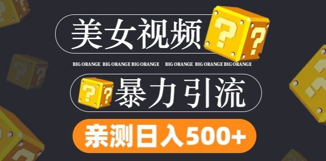 搬运tk美女视频全网分发，日引s粉300+，轻松变现，不限流量不封号【揭秘】-3YVIP资源库