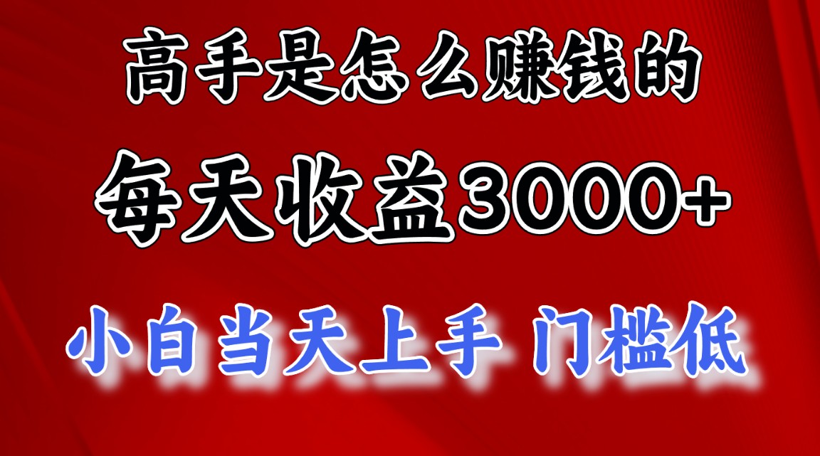 （12144期）1天收益3000+，月收益10万以上，24年8月份爆火项目-3YVIP资源库