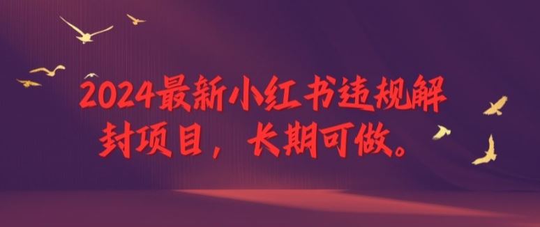 2024最新小红书违规解封项目，长期可做，一个可以做到退休的项目【揭秘】-3YVIP资源库