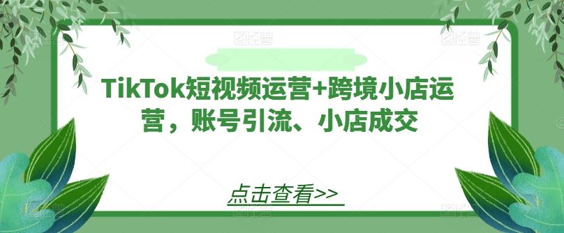 TikTok短视频运营+跨境小店运营，账号引流、小店成交-3YVIP资源库