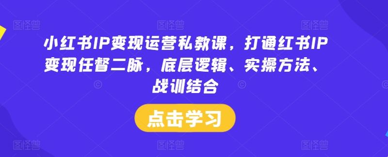 小红书IP变现运营私教课，打通红书IP变现任督二脉，底层逻辑、实操方法、战训结合-3YVIP资源库