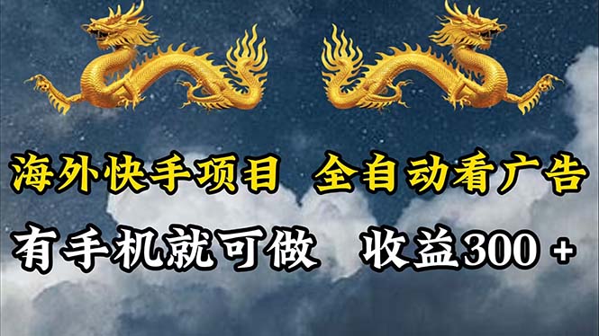 （12175期）海外快手项目，利用工具全自动看广告，每天轻松 300+-3YVIP资源库