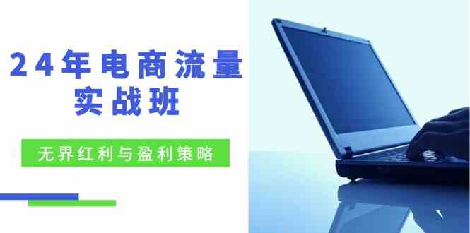 电商流量实战班：无界红利与盈利策略，终极提升/关键词优化/精准人群拓展/创新玩法-3YVIP资源库