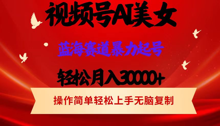 （12178期）视频号AI美女跳舞，轻松月入30000+，蓝海赛道，流量池巨大，起号猛，当…-3YVIP资源库