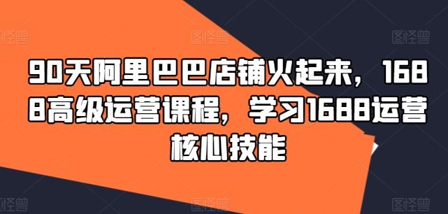 90天阿里巴巴店铺火起来，1688高级运营课程，学习1688运营核心技能-3YVIP资源库