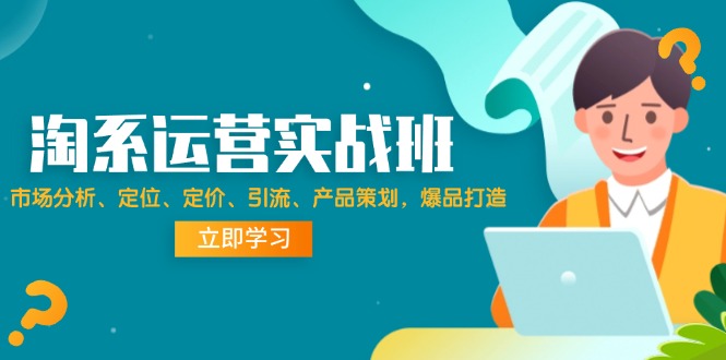 （12186期）淘系运营实战班：市场分析、定位、定价、引流、产品策划，爆品打造-3YVIP资源库