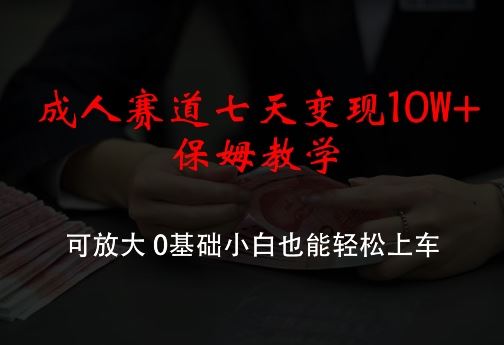 成人赛道七天变现10W+保姆教学，可放大，0基础小白也能轻松上车【揭秘】-3YVIP资源库