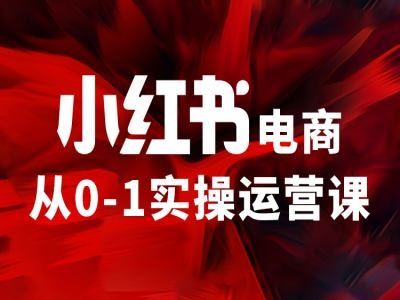 小红书电商从0-1实操运营课，让你从小白到精英-3YVIP资源库