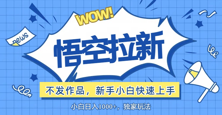 （12243期）悟空拉新最新玩法，无需作品暴力出单，小白快速上手-3YVIP资源库