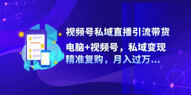 （12249期）视频号私域直播引流带货：电脑+视频号，私域变现，精准复购，月入过万…-3YVIP资源库