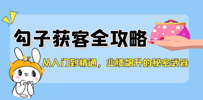 从入门到精通，勾子获客全攻略，业绩飙升的秘密武器-3YVIP资源库