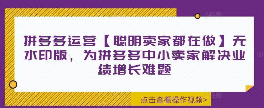 拼多多运营【聪明卖家都在做】无水印版，为拼多多中小卖家解决业绩增长难题-3YVIP资源库