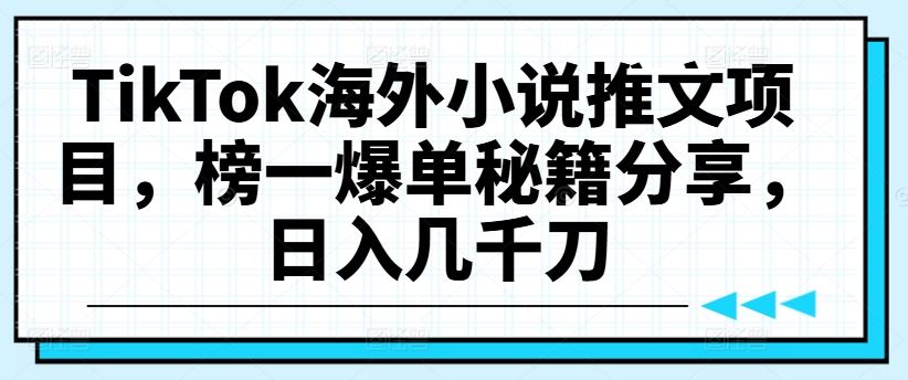 TikTok海外小说推文项目，榜一爆单秘籍分享，日入几千刀-3YVIP资源库