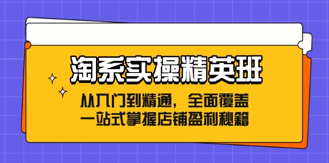 （12276期）淘系实操精英班：从入门到精通，全面覆盖，一站式掌握店铺盈利秘籍-3YVIP资源库