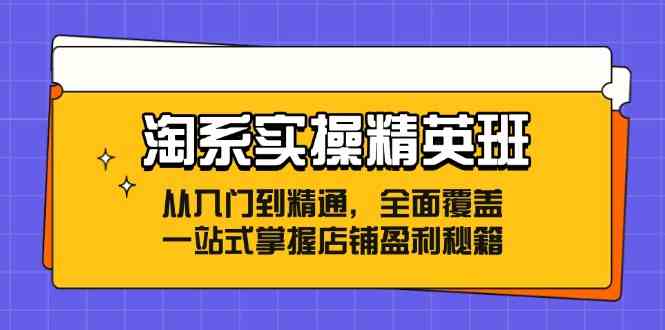 淘系实操精英班：从入门到精通，全面覆盖，一站式掌握店铺盈利秘籍-3YVIP资源库