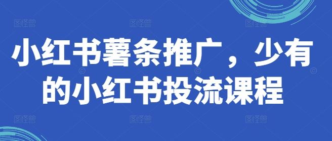 小红书薯条推广，少有的小红书投流课程-3YVIP资源库