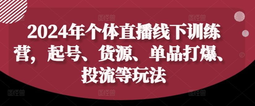 2024年个体直播训练营，起号、货源、单品打爆、投流等玩法-3YVIP资源库