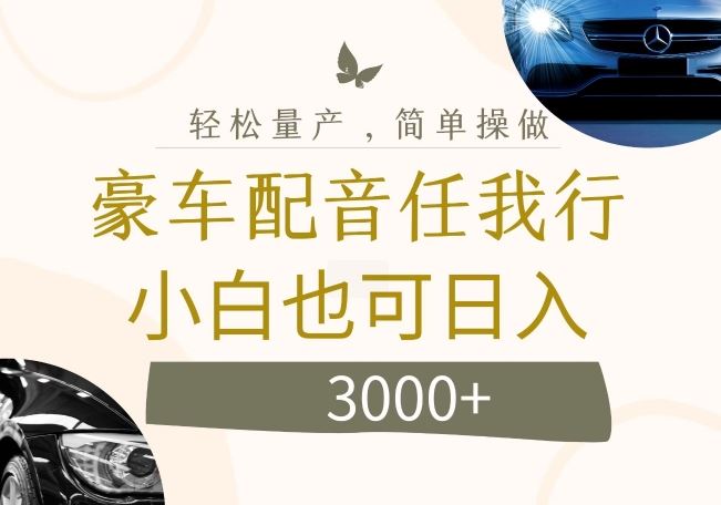 不为人知的暴力小项目，豪车配音，日入几张【揭秘】-3YVIP资源库