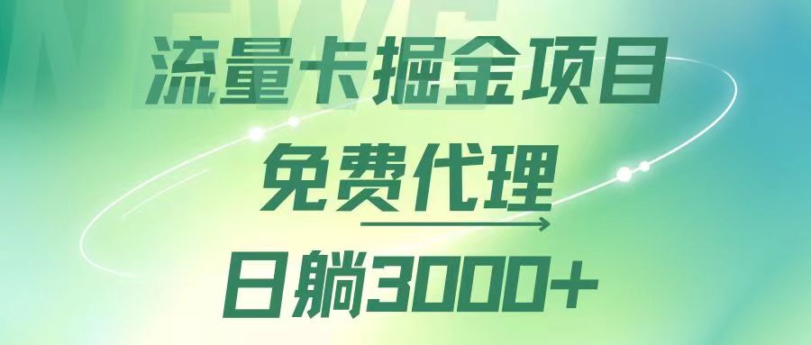 （12321期）流量卡掘金代理，日躺赚3000+，变现暴力，多种推广途径-3YVIP资源库