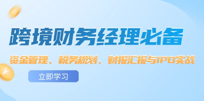 （12323期）跨境 财务经理必备：资金管理、税务规划、财报汇报与IPO实战-3YVIP资源库